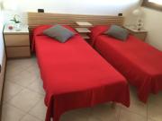 Nice flat overlooking the park