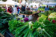 Top Oakland
