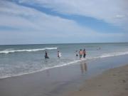 Top Marshfield Top Marshfield