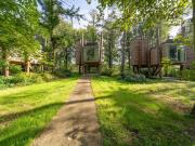 3-Level Home with Rooftop