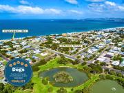 Retro Groovy Pad Pt Elliot