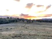 Luxury country guesthouse on large cattle station