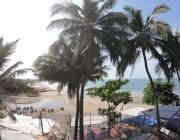 Top Arambol