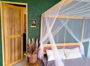 The View - Jungle Lodges - Port Barton