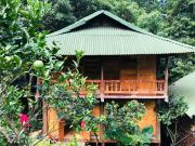 Trang trại nghỉ dưỡng Việt Thành Hill