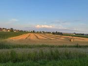 Top Wolfersdorf