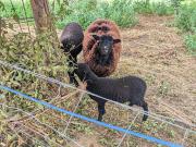 Top Saint-Crépin-et-Carlucet Top Saint-Crépin-et-Carlucet