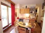 Appartement près des pistes avec terrasse - FR-1-549-144