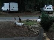 Top Saint-Aubin-de-Nabirat