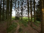 Top Clausthal-Zellerfeld