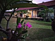 Top Ubud