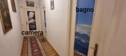 Top Naples