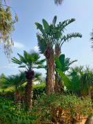 Top Castellammare del Golfo