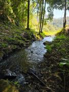 Chalé Pavão Recanto Buscapé SFX