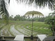 Secret Village Cozy Studio