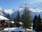 Top Grindelwald