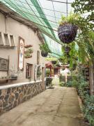 1961 Los Naranjos Hostal