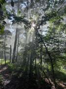 El Búho, cabañas, camping, trailer park