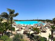 Top Casares