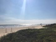 Top Surfside Beach