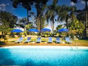 Top São José dos Pinhais