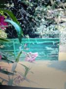 Entre mer et cevennes