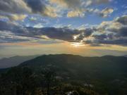 Top Cruz de Madroño Top Cruz de Madroño