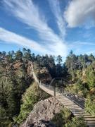 Top Cruz de Madroño