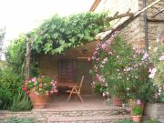 PERGOLA at Le Pietraie a cottage with many flowers