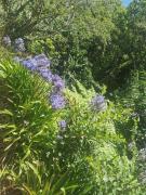 Top Estreito de Câmara de Lobos Top Estreito de Câmara de Lobos