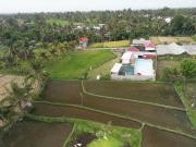 Rinjani Terrace Cottage & Resto