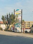 Top San Antonio del Mar