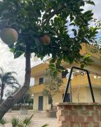 Top Santa Maria La Carità