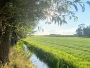 Luxe vrijstaand gastenverblijf - landelijk gelegen