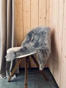 AWolf in a healthy NEW home