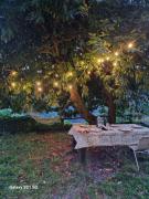 Top Vellano Top Vellano