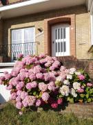 Charming house Panacea