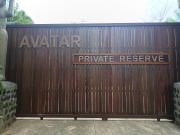 Top Palo Seco Top Palo Seco