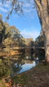 Top Wangaratta