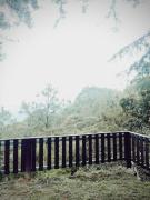 Top San Miguel Amatlán