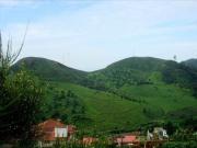 Top Ooty