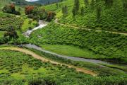 Top Thekkady
