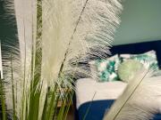 Top Bydgoszcz Top Bydgoszcz