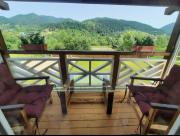 Карпатський двір