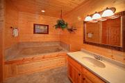Top Sevierville