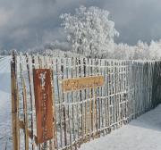 Les Champs aux Boules Ambiance très cosy