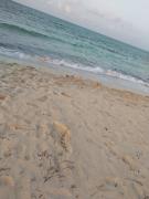 First Row Sea-Front Chalets Media Village