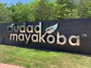 Top Playa del Carmen