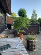 Top Viborg