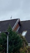 Top Viborg